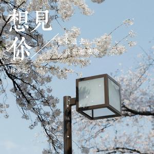 火羊瞌睡了-夏天的风（林汐先生 remix）