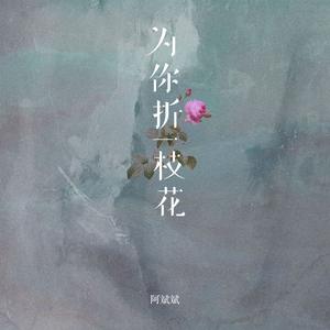 为你折一枝花