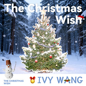 The Christmas Wish