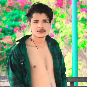 छौरी तेरा दिल को झंडों