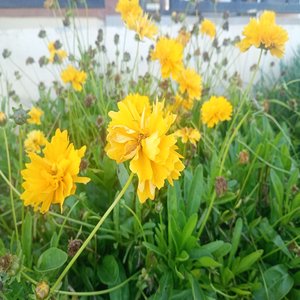 Cuando entendí que no me amabas