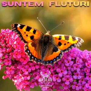 Suntem Fluturi