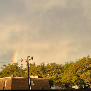 Last Summer (feat. Elsio Dizzy)