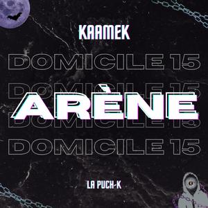 Domicile #15 - Arène