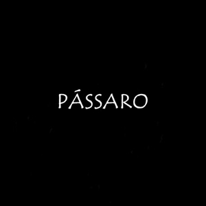 Pássaro