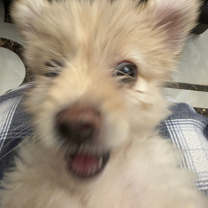 音频转换_1755170311