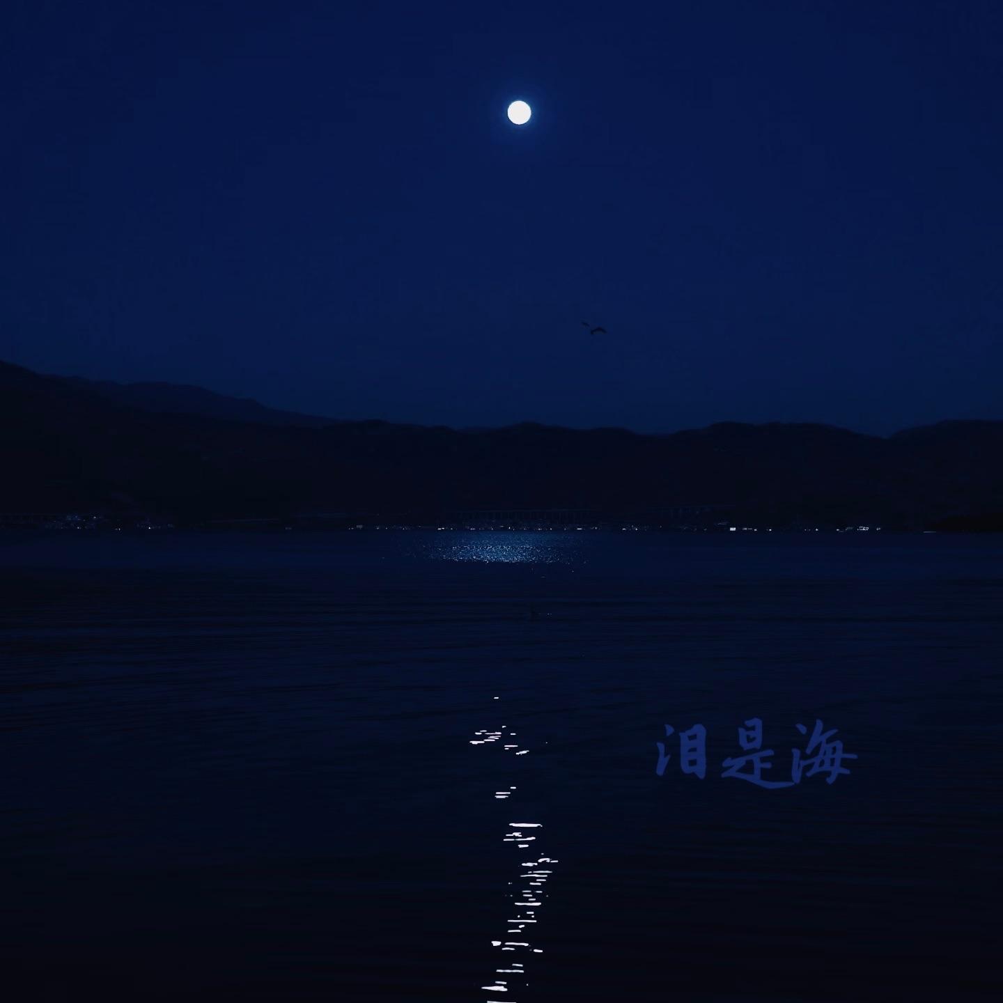 泪是海（眼泪向下我却向上）