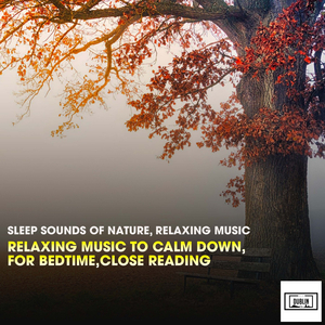 In the Middle of a Dream