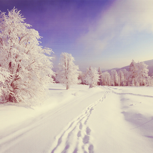 さよならの夏《虞美人盛开的山坡》 主题曲（翻自 手嶌葵）