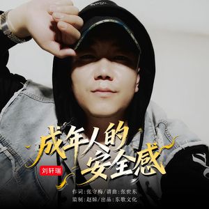 成年人的安全感