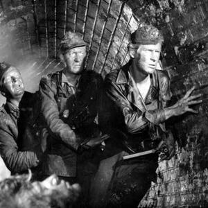 Niech żyje wojna! disco polo