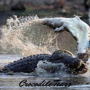 Crocodile Tears