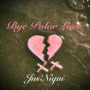 Bye Polar Love