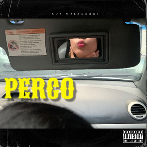 X X Aaron - PERCO 