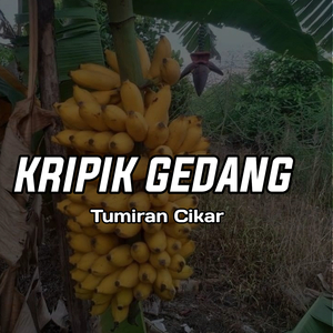 Kripik Gedang