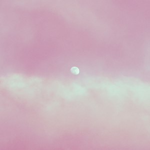 Soft Pink Echoes