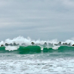 注定 (有伴唱伴奏).wav