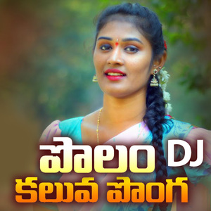 Polam Kaluva Ponga DJ