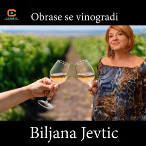 Obrase se vinogradi (Live)