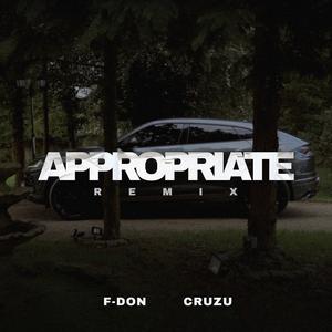 Appropriate (feat. F-Don) (Remix)