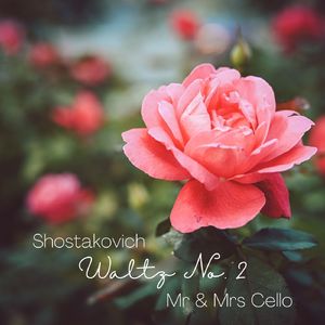 Suite for Variety Orchestra:VII. Waltz No. 2