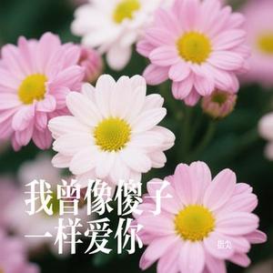 我曾像傻子一样爱你 (Cover 老板)