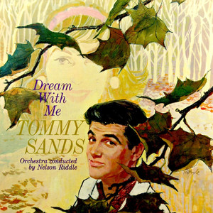 A Boy And His Dreams