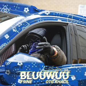 Bluuwuu