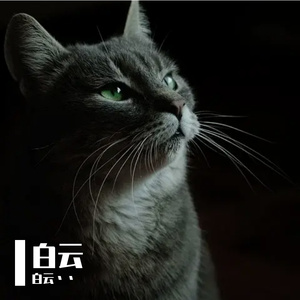 真相
