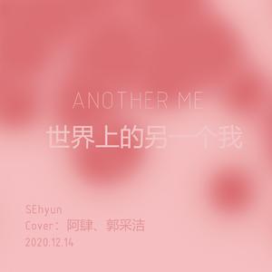 世界上的另一个我