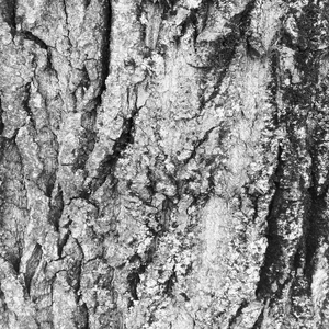 Просыпается город