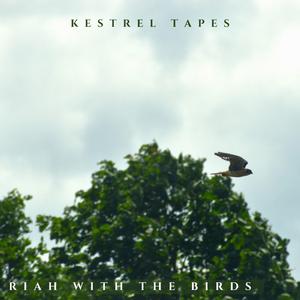 old man / fork in the road