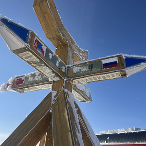 倒数的温柔是慢性毒药