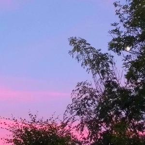 世界之大，还会遇见你