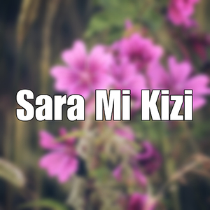 Sara Mi Kizi