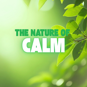 Whisper of the Rain Window