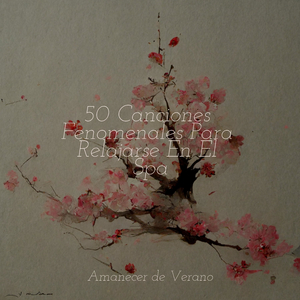 Cielos Melancólicos Descienden