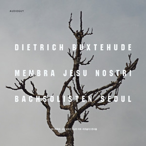 Membra Jesu nostri, BuxWV 75, Cantata No. 7 "Ad faciem": No. 4, Dum me mori est necesse