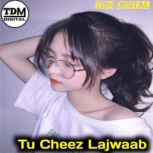 Tu Cheez Lajwaab