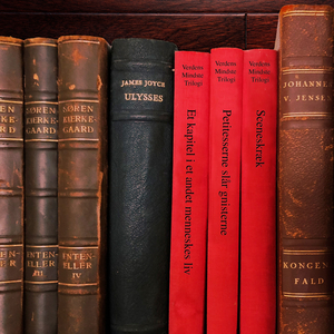 Et kapitel i et andet menneskes liv