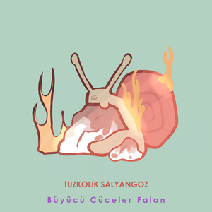 Büyücü Cüceler Falan