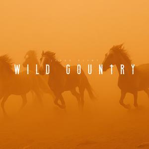 Wild Country