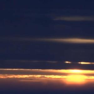 蜂鸟demo（翻自 蜂鸟）