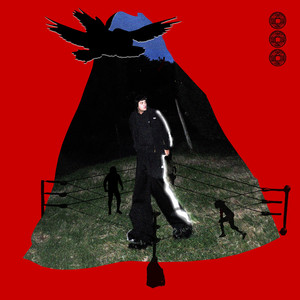 Temporada de Girasoles