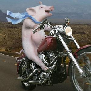 Gala-Faraway（阿森 remix）