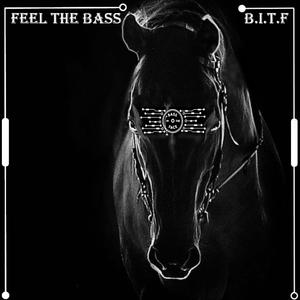 Feeling The Bass