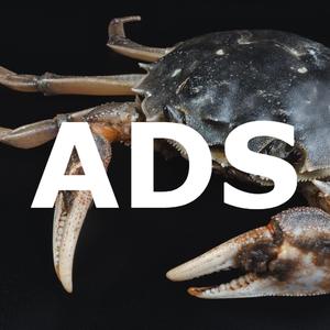 Advertisements (feat. Emidivergent)