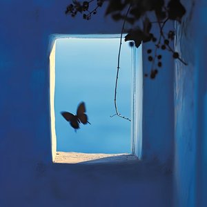 别困住自己#百万奖金AI创作大赛+主题二