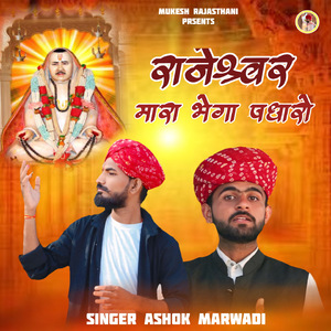 Rajeshwar Mara Bhega Padharo