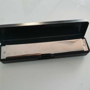 爱尔兰画眉（口琴/A调）